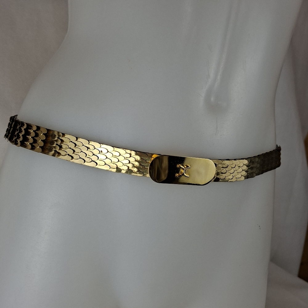 Vintage Metal Elegant Gold Tone Skinny Belt Glam Fancy Accent Stretchy Belt